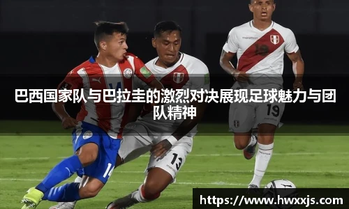 中欧体育网址
